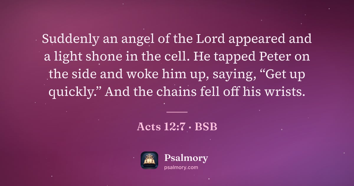 Acts 12:7 verse artwork: Suddenly an angel of the Lord appeared and a light shone in the cell. He tapped Peter on…