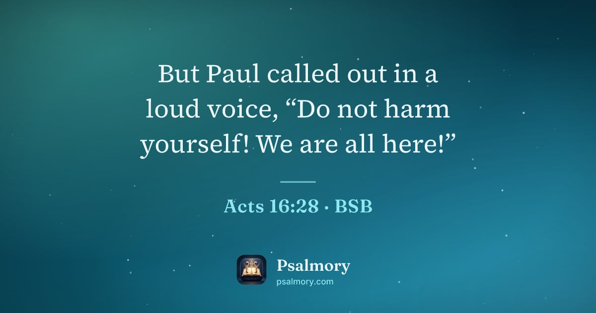 Acts 16:28 verse artwork: But Paul called out in a loud voice, “Do not harm yourself! We are all here!”