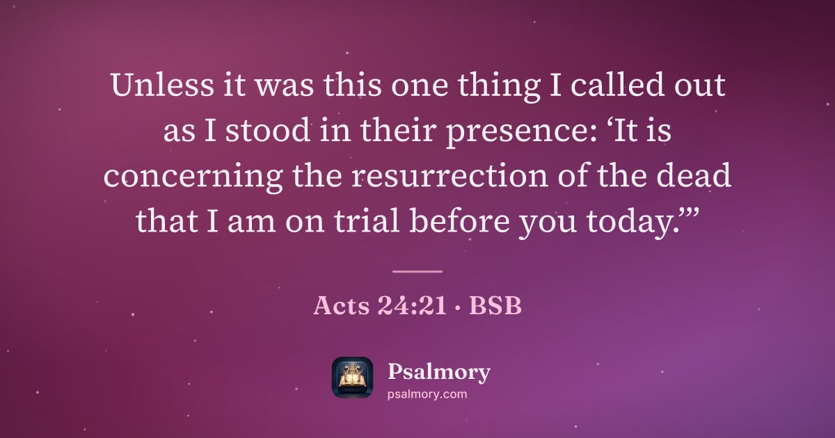 Acts 24:21 verse artwork: Unless it was this one thing I called out as I stood in their presence: ‘It is…