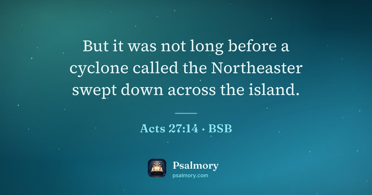 Acts 27:14 verse artwork: But it was not long before a cyclone called the Northeaster swept down across the island.