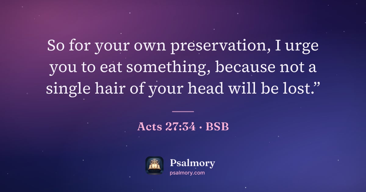 Acts 27:34 verse artwork: So for your own preservation, I urge you to eat something, because not a single hair of…