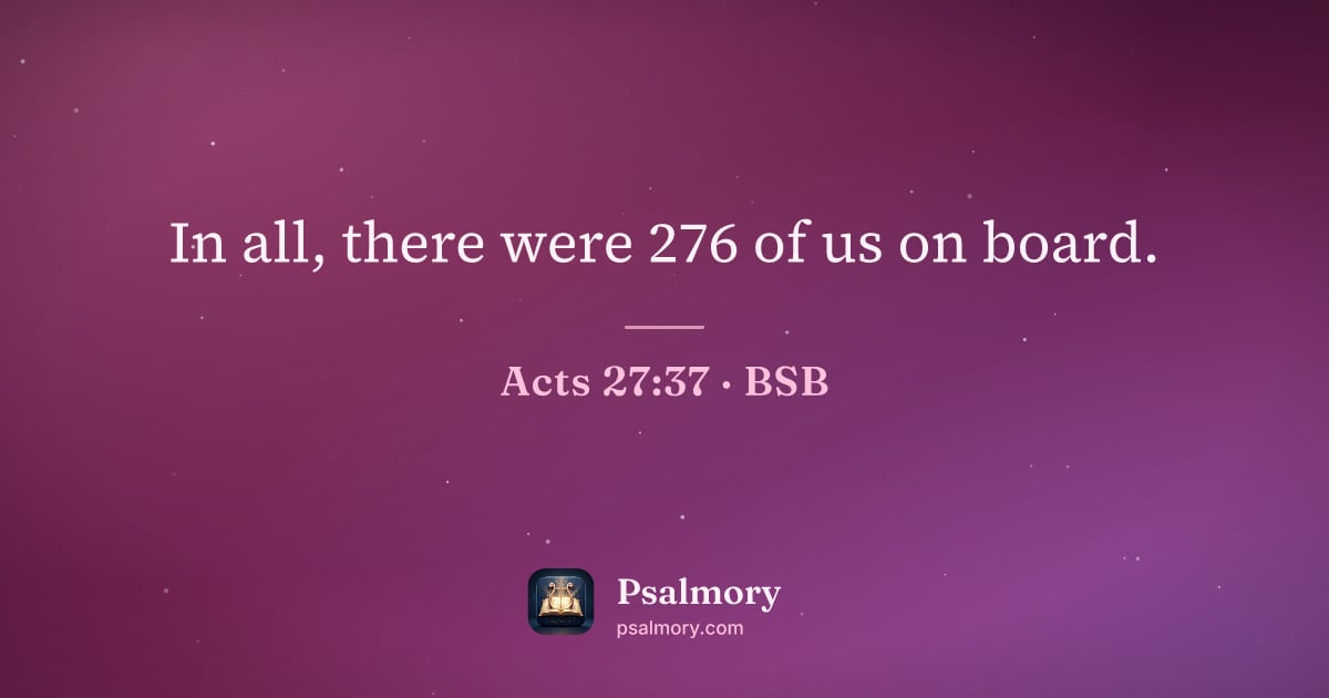Acts 27:37 verse artwork: In all, there were 276 of us on board.