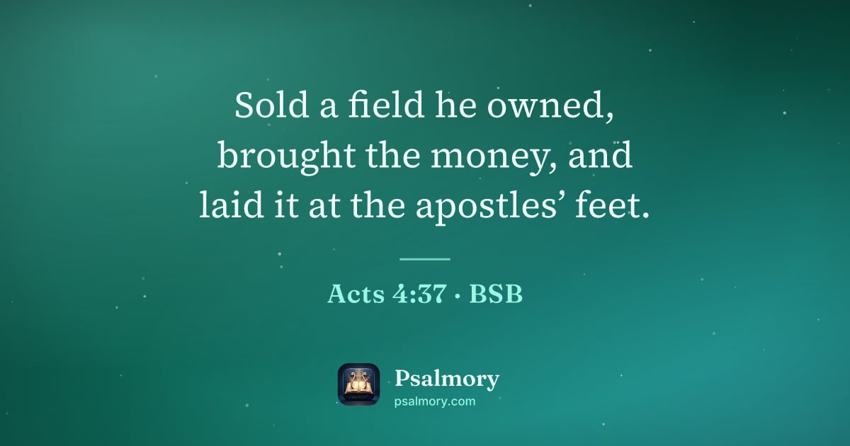 Acts 4:37 verse artwork: Sold a field he owned, brought the money, and laid it at the apostles’ feet.