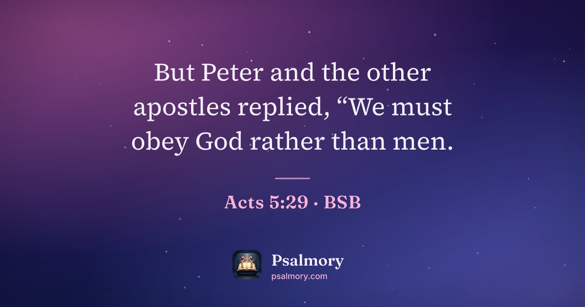 Acts 5:29 verse artwork: But Peter and the other apostles replied, “We must obey God rather than men.