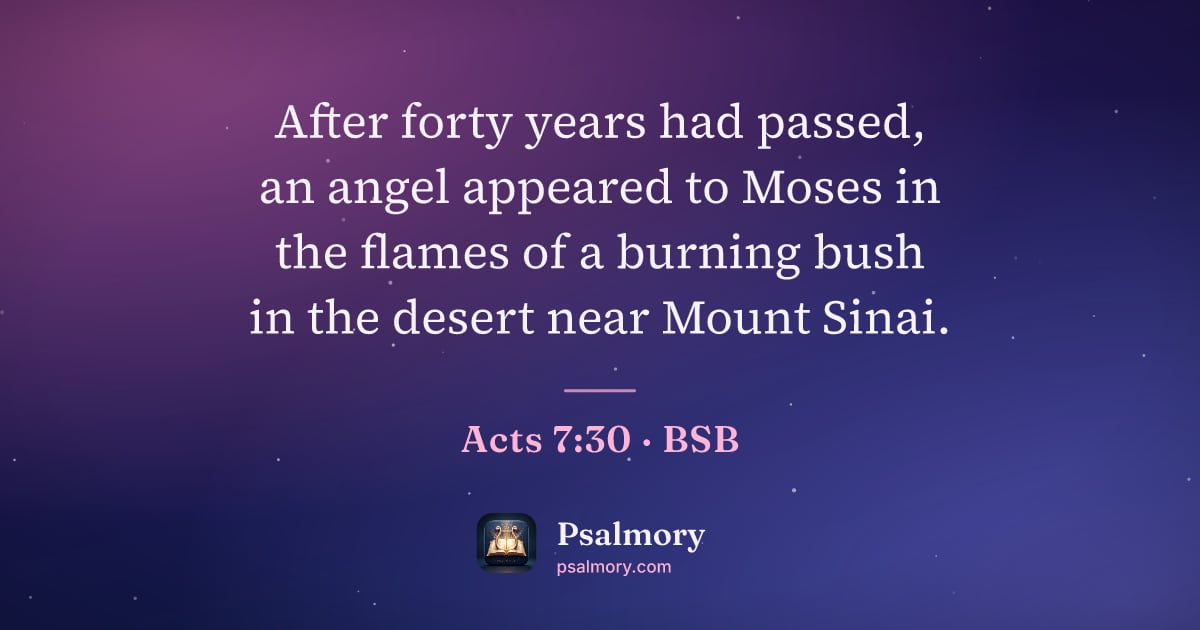 Acts 7:30 verse artwork: After forty years had passed, an angel appeared to Moses in the flames of a burning bush…
