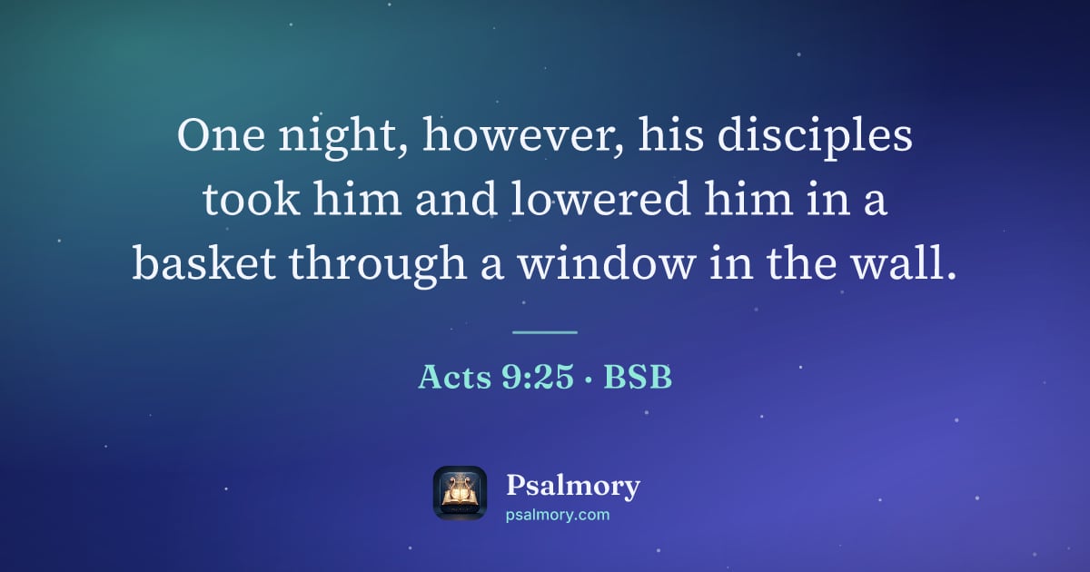 Acts 9:25 verse artwork: One night, however, his disciples took him and lowered him in a basket through a window…