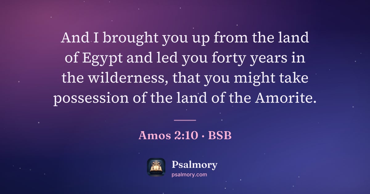 Amos 2:10 verse artwork: And I brought you up from the land of Egypt and led you forty years in the wilderness,…