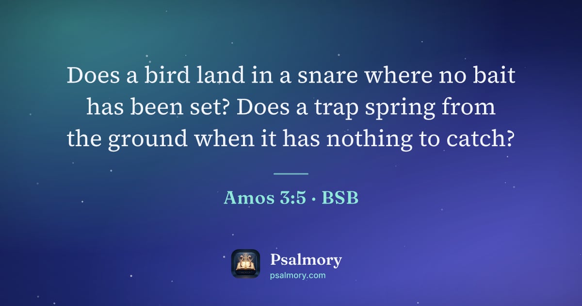 Amos 3:5 verse artwork: Does a bird land in a snare where no bait has been set? Does a trap spring from the…