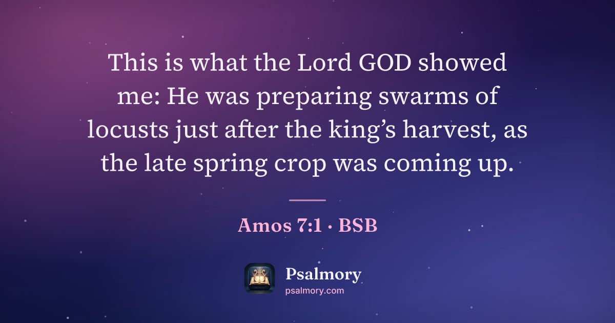 Amos 7:1 verse artwork: This is what the Lord GOD showed me: He was preparing swarms of locusts just after the…