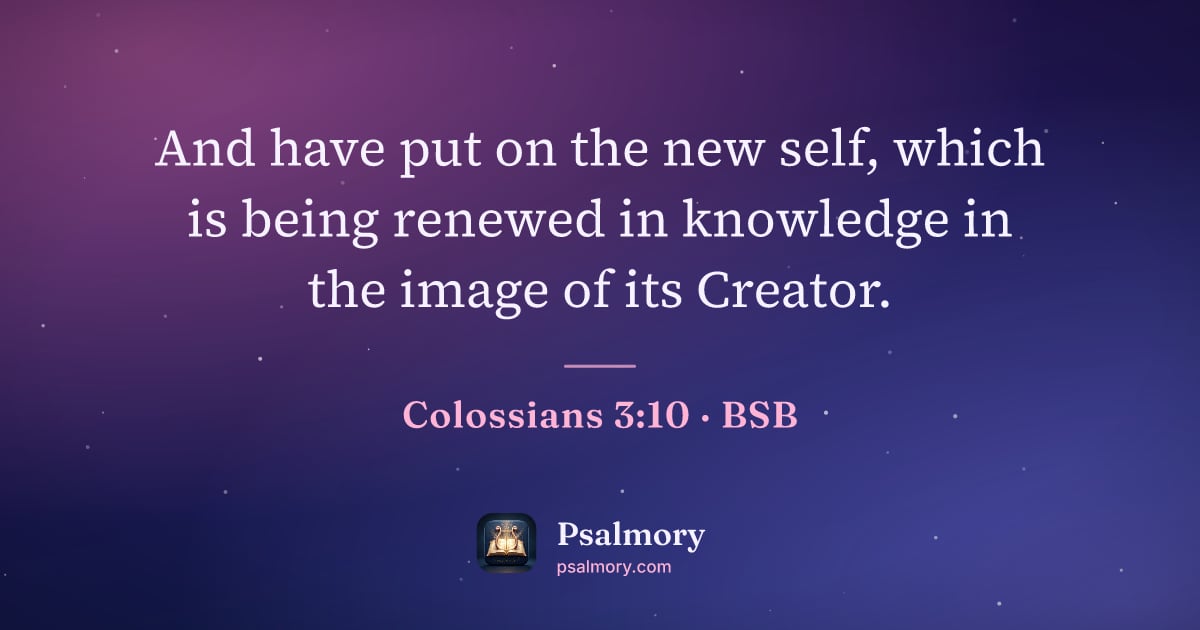 Colossians 3:10 verse artwork: And have put on the new self, which is being renewed in knowledge in the image of its…