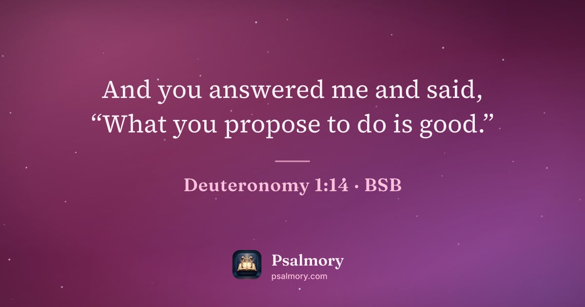 Deuteronomy 1:14 verse artwork: And you answered me and said, “What you propose to do is good.”
