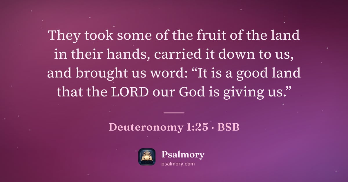 Deuteronomy 1:25 verse artwork: They took some of the fruit of the land in their hands, carried it down to us, and…