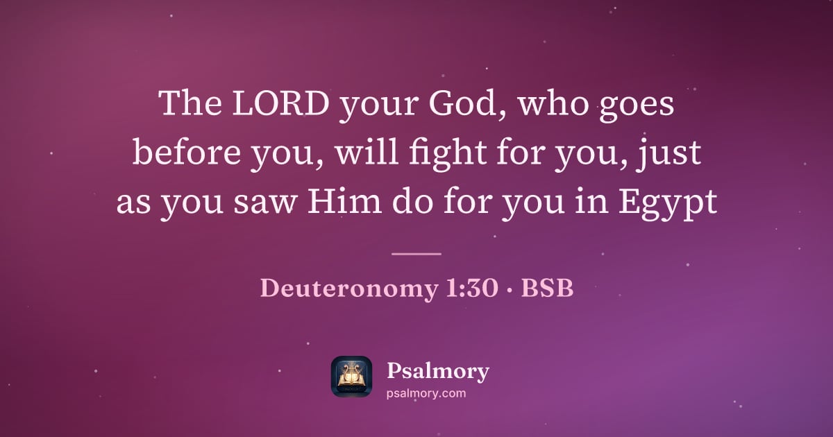 Deuteronomy 1:30 verse artwork: The LORD your God, who goes before you, will fight for you, just as you saw Him do for…
