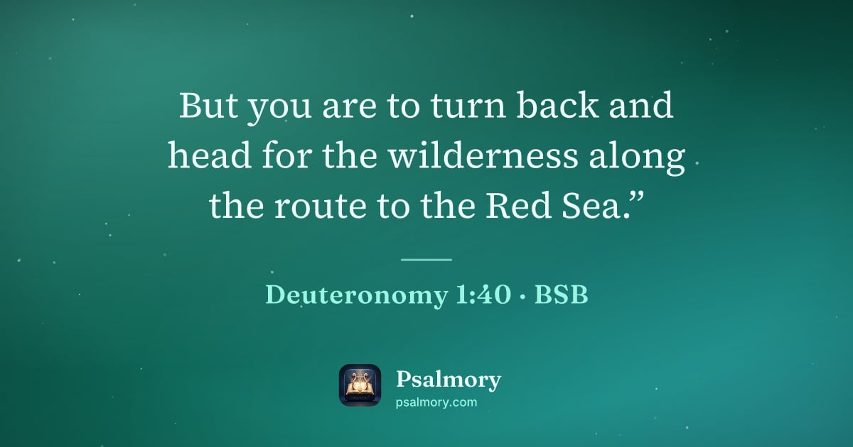 Deuteronomy 1:40 verse artwork: But you are to turn back and head for the wilderness along the route to the Red Sea.”