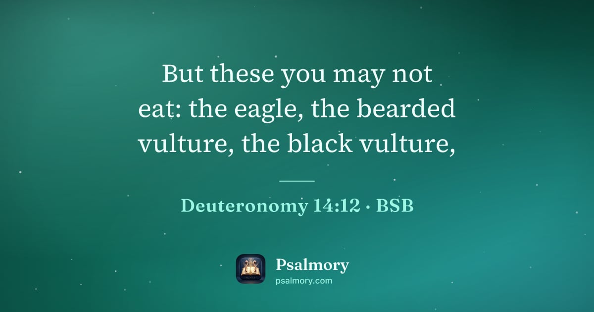 Deuteronomy 14:12 verse artwork: But these you may not eat: the eagle, the bearded vulture, the black vulture,