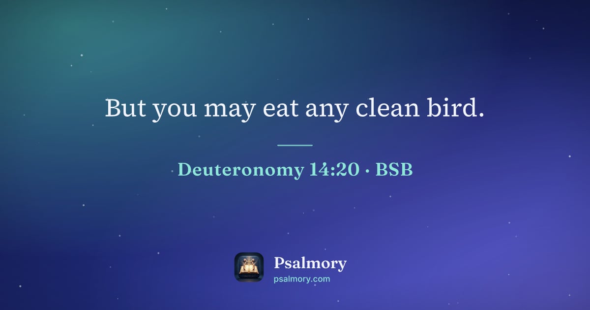 Deuteronomy 14:20 verse artwork: But you may eat any clean bird.