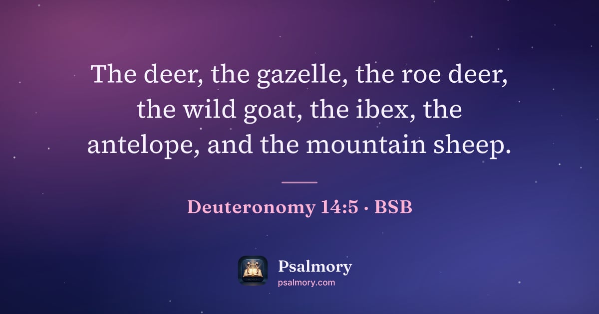 Deuteronomy 14:5 verse artwork: The deer, the gazelle, the roe deer, the wild goat, the ibex, the antelope, and the…