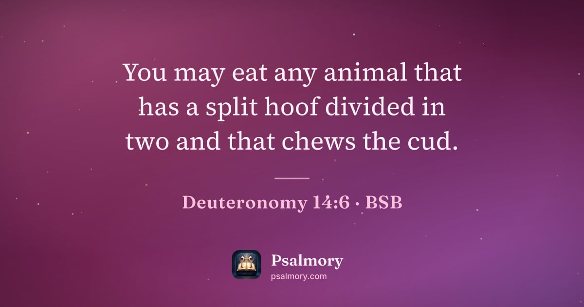 Deuteronomy 14:6 verse artwork: You may eat any animal that has a split hoof divided in two and that chews the cud.