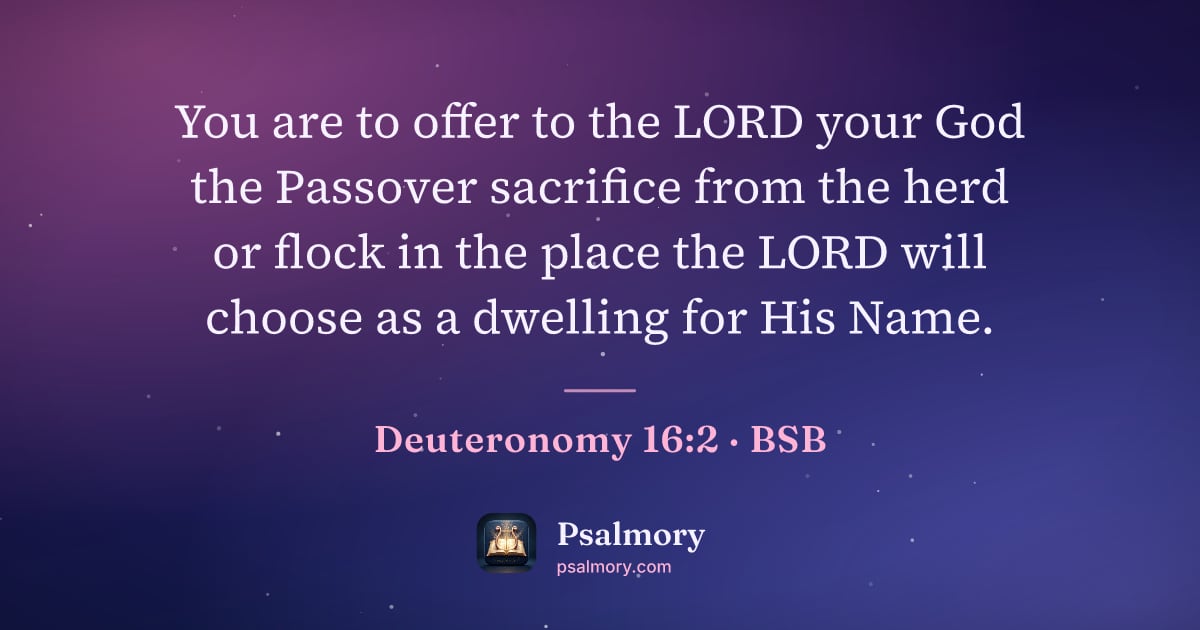 Deuteronomy 16:2 verse artwork: You are to offer to the LORD your God the Passover sacrifice from the herd or flock in…