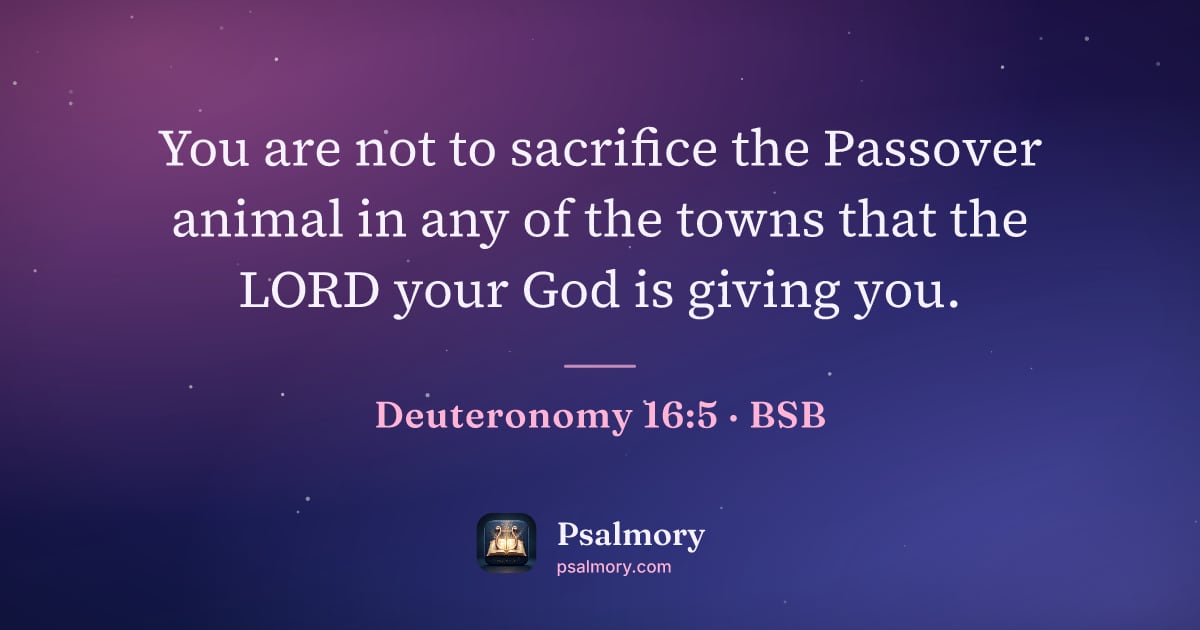 Deuteronomy 16:5 verse artwork: You are not to sacrifice the Passover animal in any of the towns that the LORD your God…