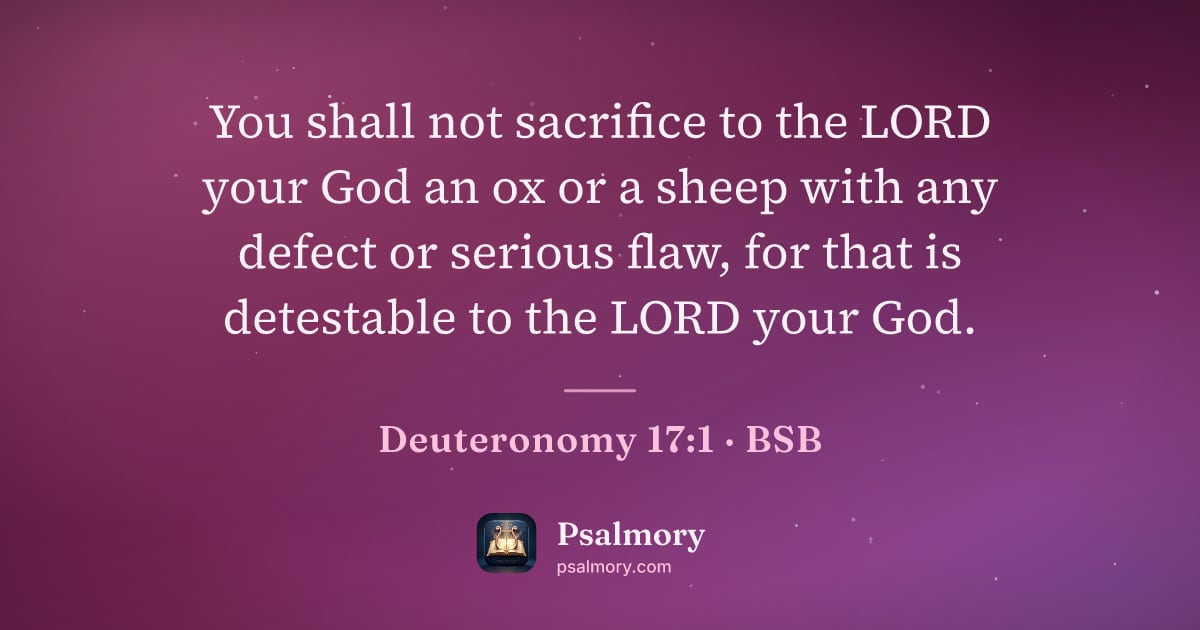 Deuteronomy 17:1 verse artwork: You shall not sacrifice to the LORD your God an ox or a sheep with any defect or serious…