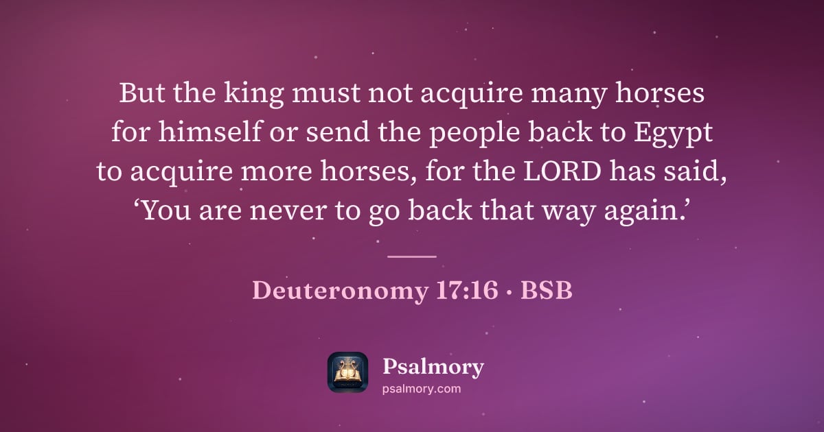 Deuteronomy 17:16 verse artwork: But the king must not acquire many horses for himself or send the people back to Egypt…