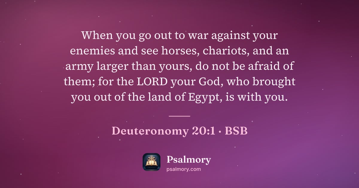 Deuteronomy 20:1 verse artwork: When you go out to war against your enemies and see horses, chariots, and an army larger…