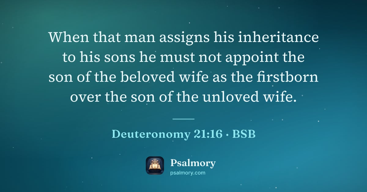 Deuteronomy 21:16 verse artwork: When that man assigns his inheritance to his sons he must not appoint the son of the…