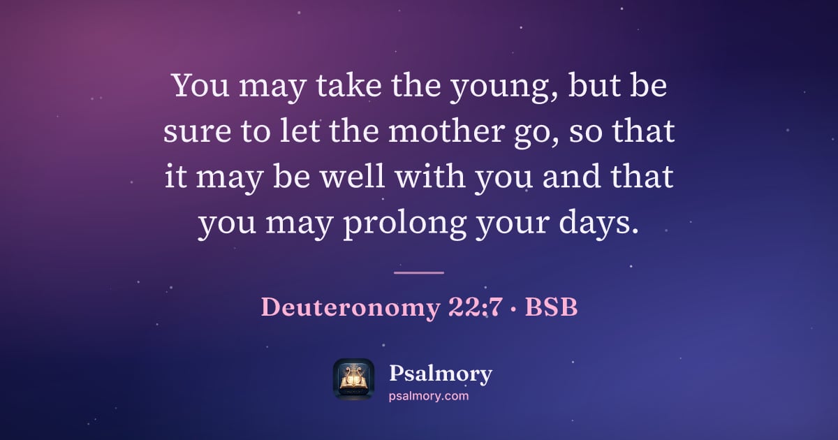 Deuteronomy 22:7 verse artwork: You may take the young, but be sure to let the mother go, so that it may be well with…