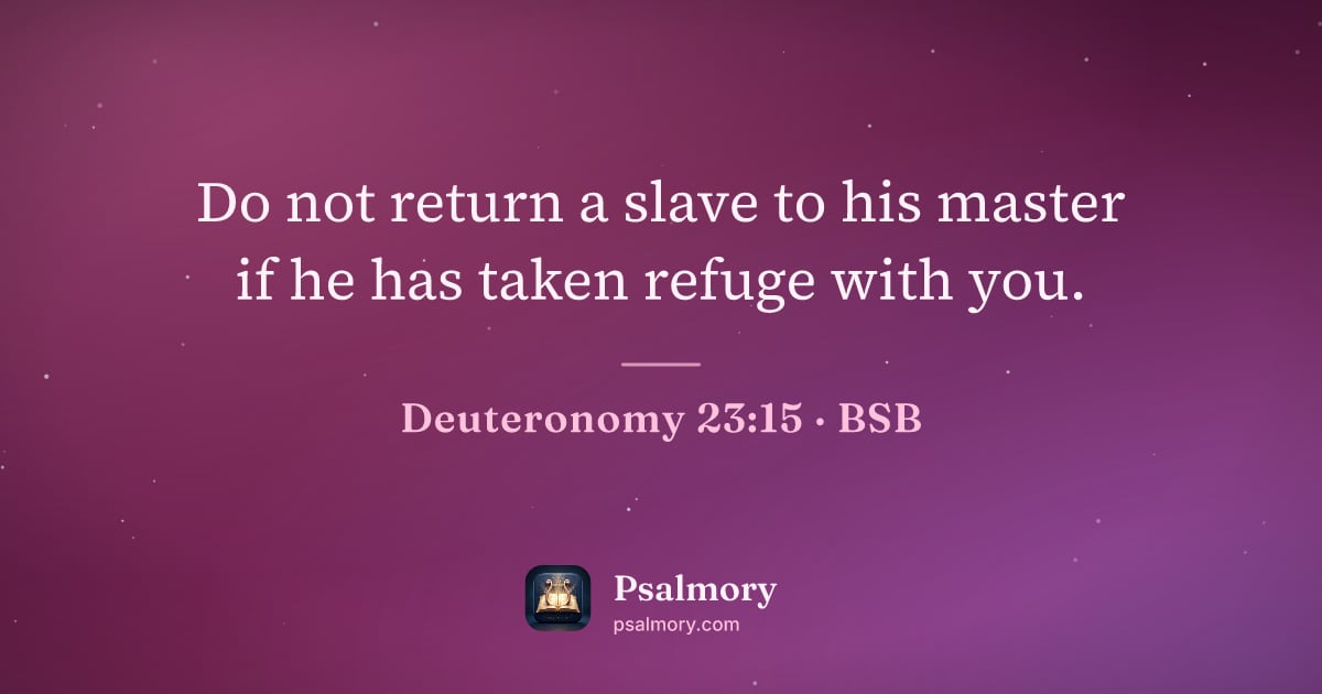 Deuteronomy 23:15 verse artwork: Do not return a slave to his master if he has taken refuge with you.