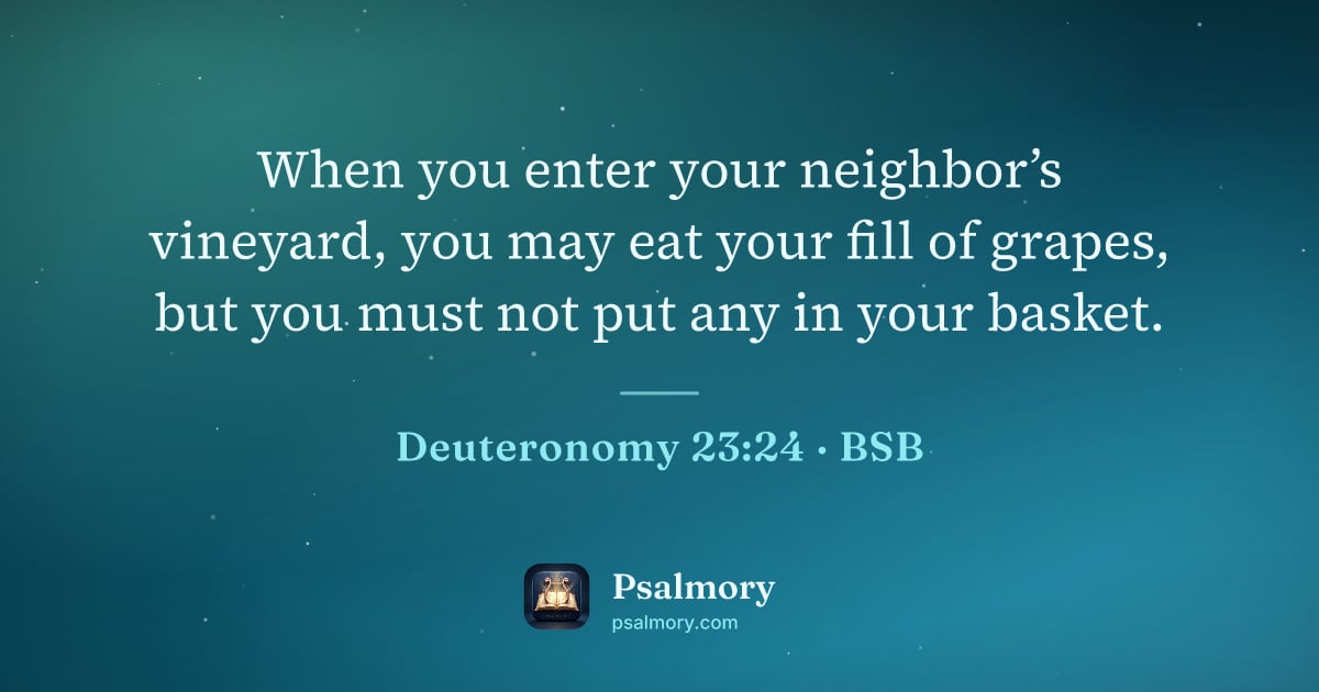 Deuteronomy 23:24 verse artwork: When you enter your neighbor’s vineyard, you may eat your fill of grapes, but you must…