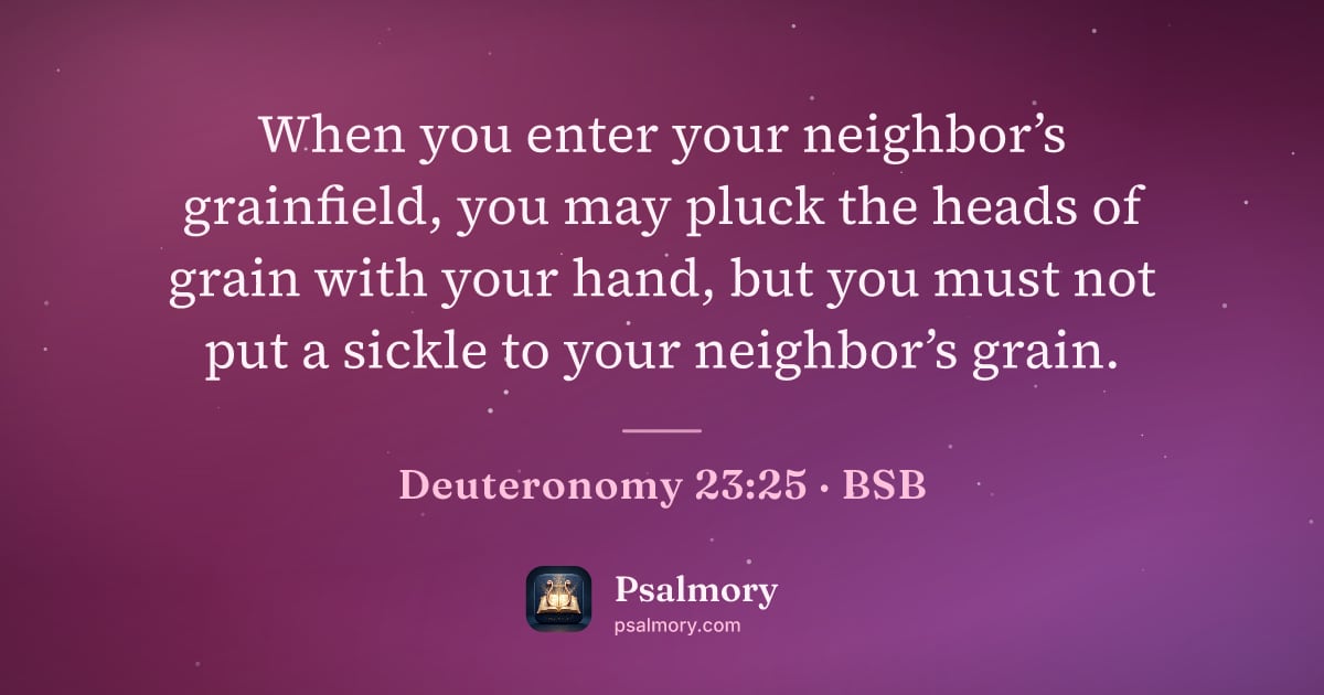 Deuteronomy 23:25 verse artwork: When you enter your neighbor’s grainfield, you may pluck the heads of grain with your…