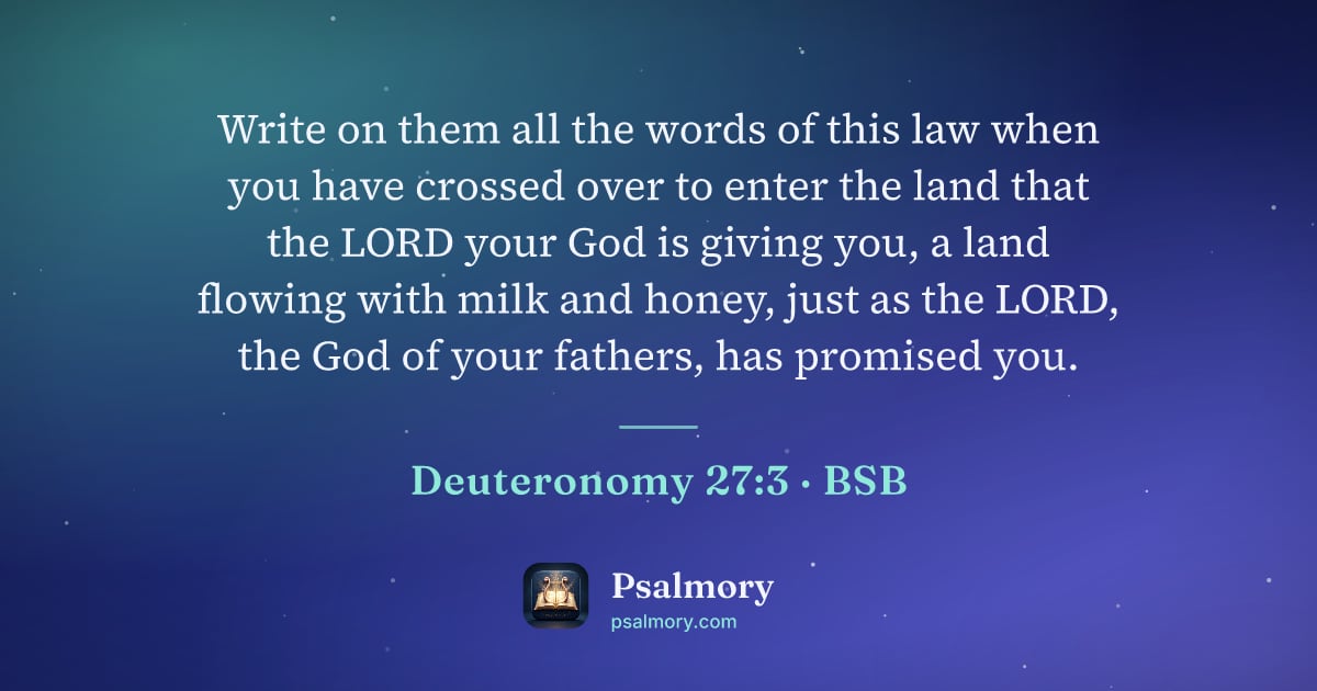 Deuteronomy 27:3 verse artwork: Write on them all the words of this law when you have crossed over to enter the land…