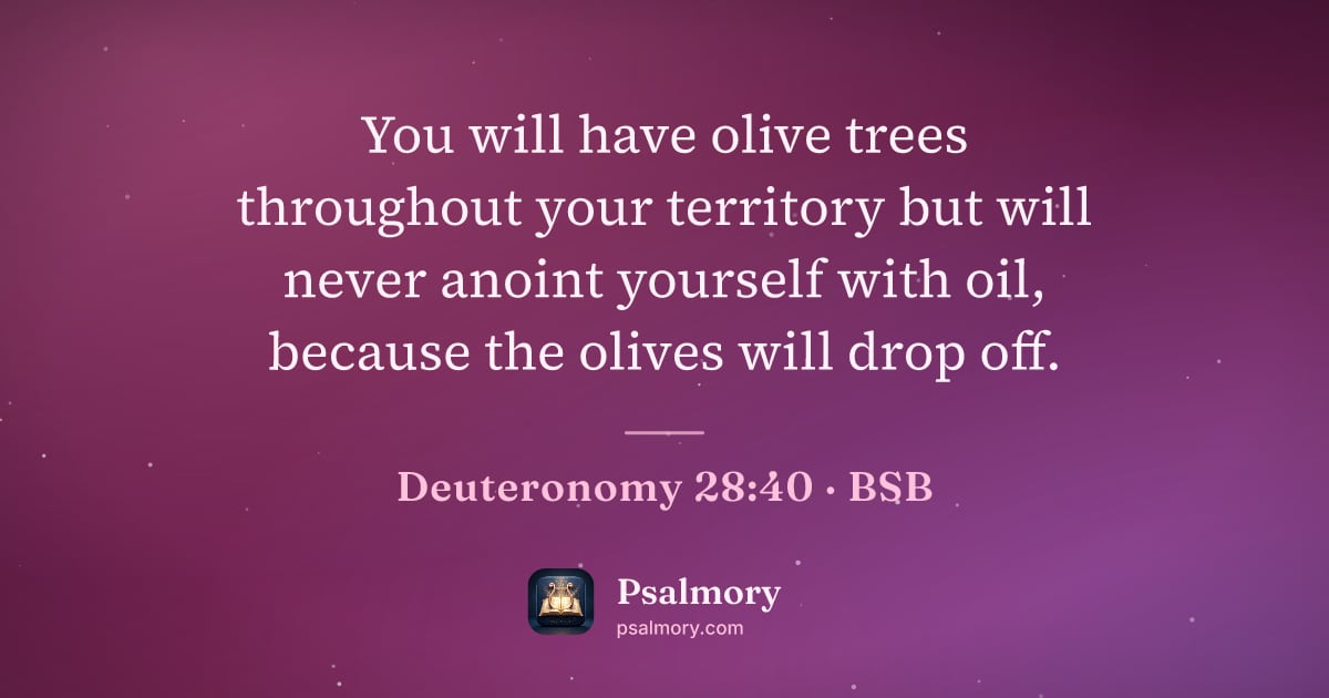 Deuteronomy 28:40 verse artwork: You will have olive trees throughout your territory but will never anoint yourself with…