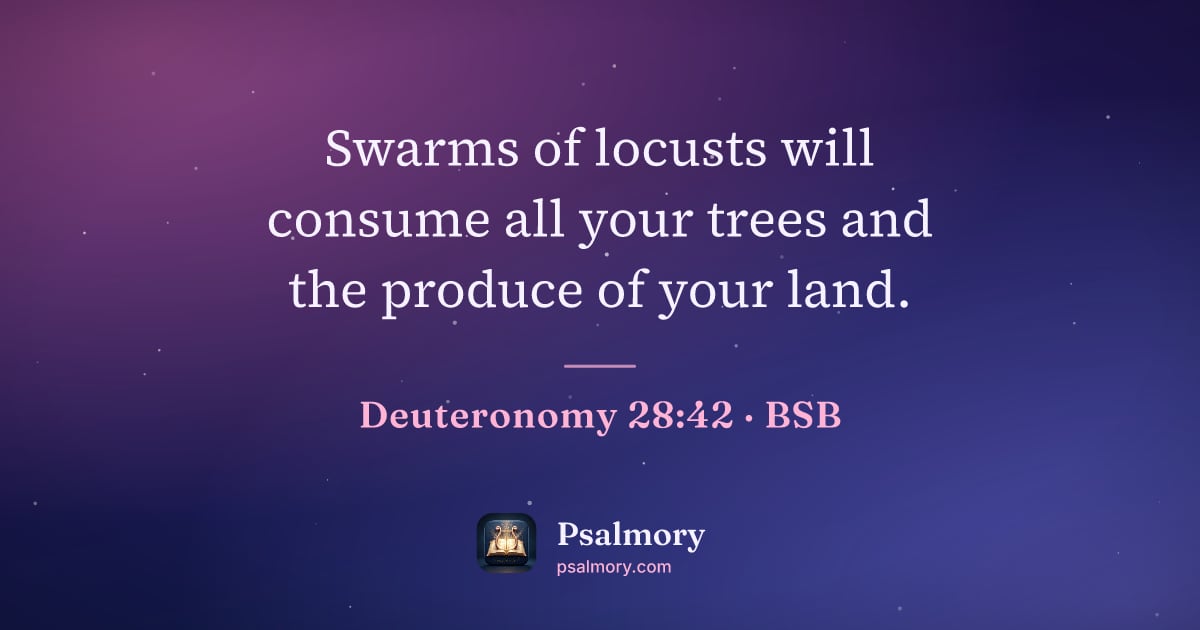Deuteronomy 28:42 verse artwork: Swarms of locusts will consume all your trees and the produce of your land.