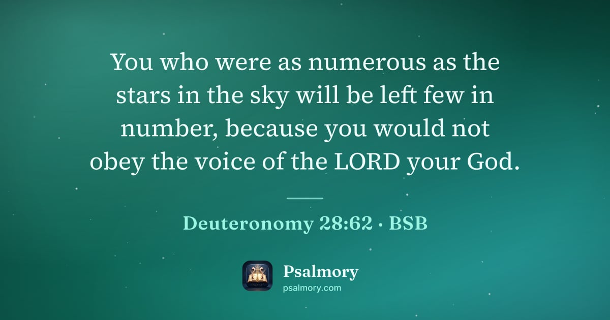Deuteronomy 28:62 verse artwork: You who were as numerous as the stars in the sky will be left few in number, because you…