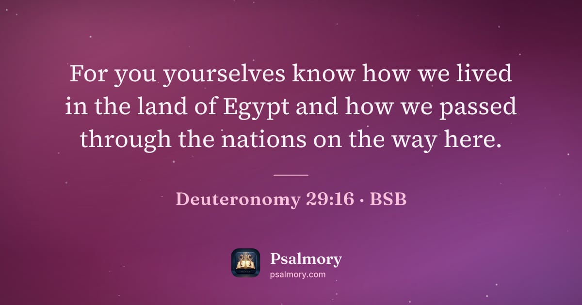 Deuteronomy 29:16 verse artwork: For you yourselves know how we lived in the land of Egypt and how we passed through the…