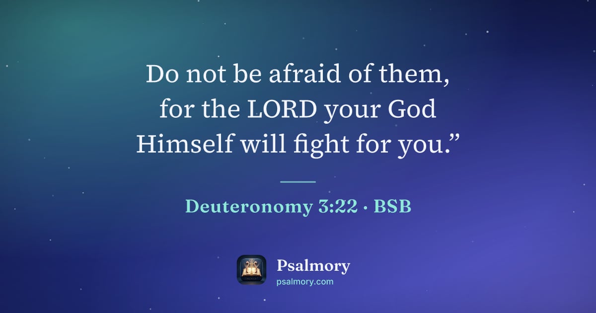 Deuteronomy 3:22 verse artwork: Do not be afraid of them, for the LORD your God Himself will fight for you.”