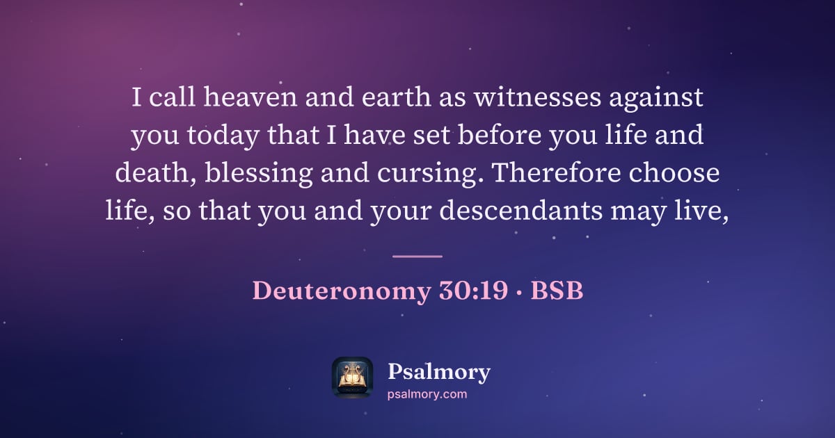 Deuteronomy 30:19 verse artwork: I call heaven and earth as witnesses against you today that I have set before you life…