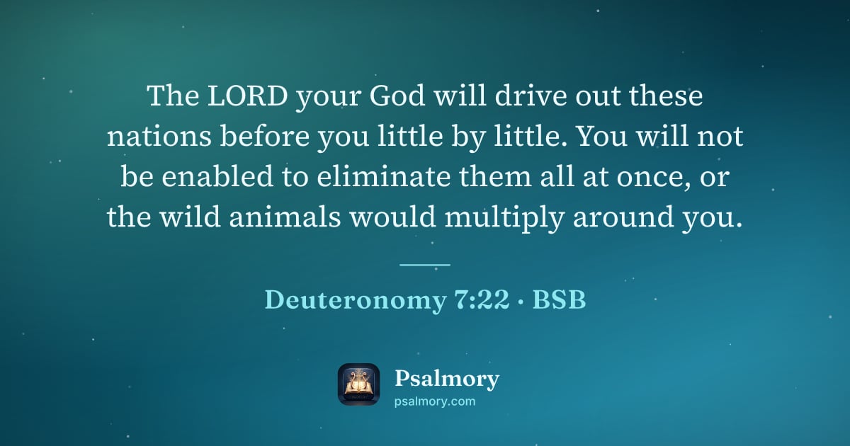 Deuteronomy 7:22 verse artwork: The LORD your God will drive out these nations before you little by little. You will not…