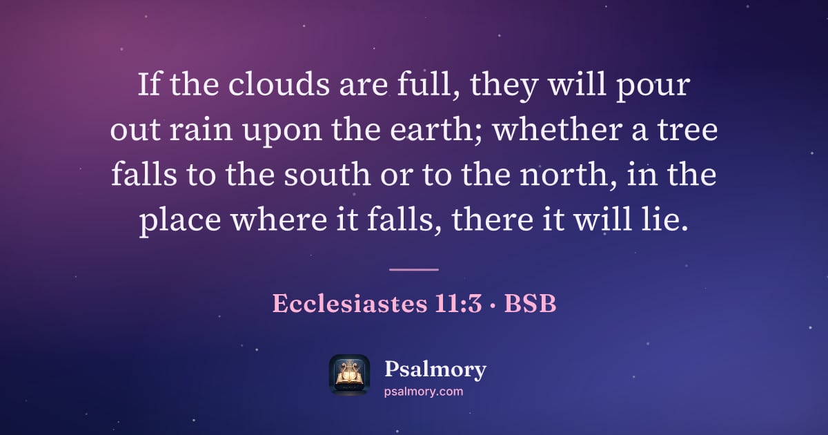 Ecclesiastes 11:3 verse artwork: If the clouds are full, they will pour out rain upon the earth; whether a tree falls to…