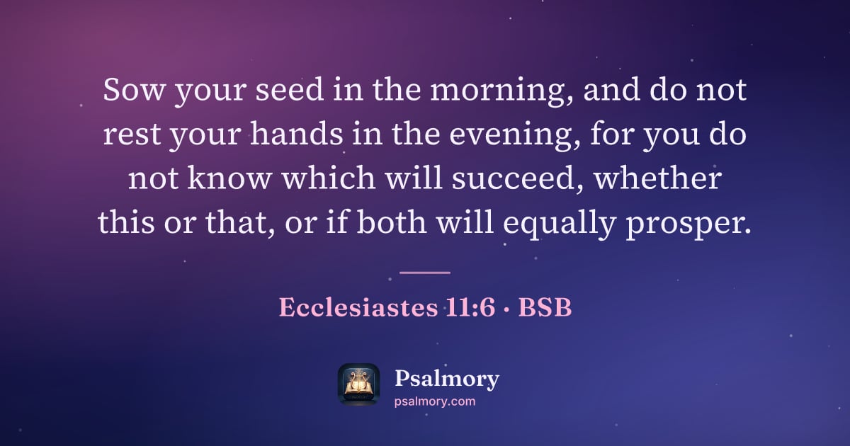 Ecclesiastes 11:6 verse artwork: Sow your seed in the morning, and do not rest your hands in the evening, for you do not…