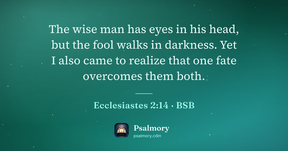 Ecclesiastes 2:14 verse artwork: The wise man has eyes in his head, but the fool walks in darkness. Yet I also came to…