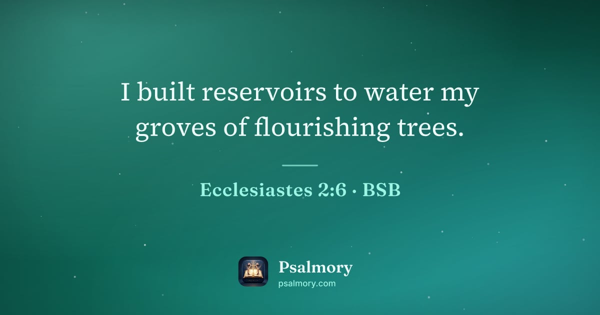 Ecclesiastes 2:6 verse artwork: I built reservoirs to water my groves of flourishing trees.