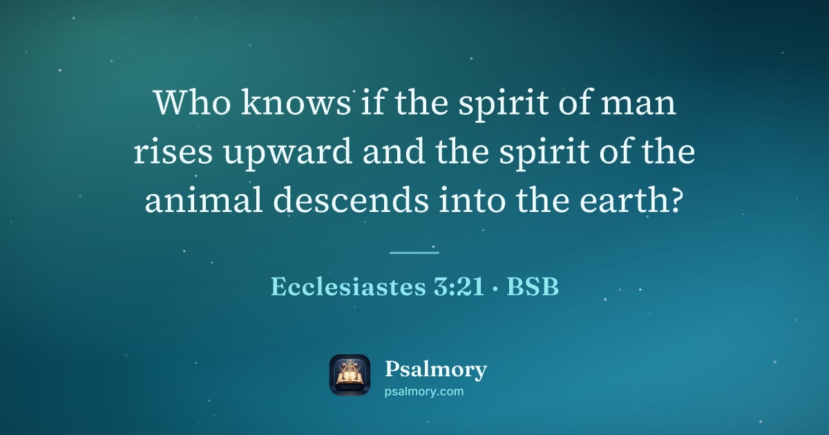 Ecclesiastes 3:21 verse artwork: Who knows if the spirit of man rises upward and the spirit of the animal descends into…