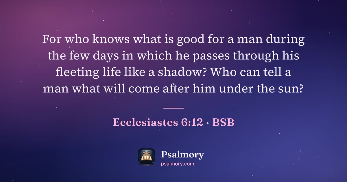 Ecclesiastes 6:12 verse artwork: For who knows what is good for a man during the few days in which he passes through his…