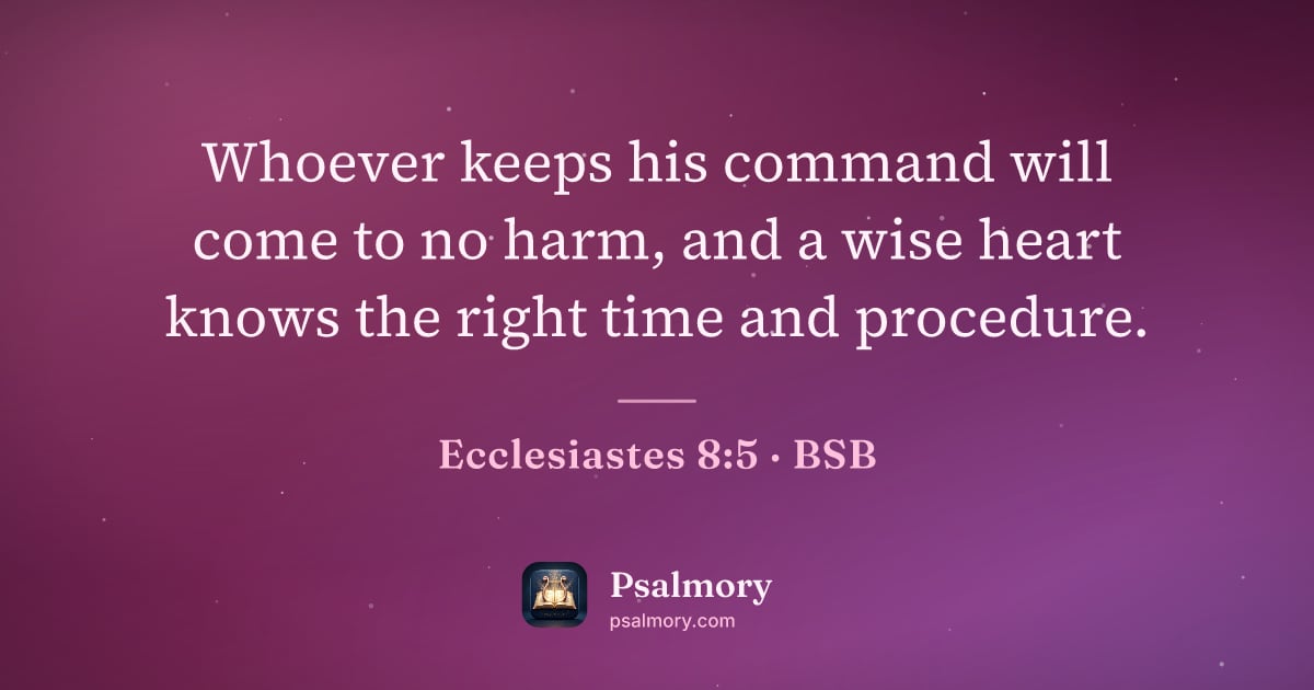 Ecclesiastes 8:5 verse artwork: Whoever keeps his command will come to no harm, and a wise heart knows the right time…