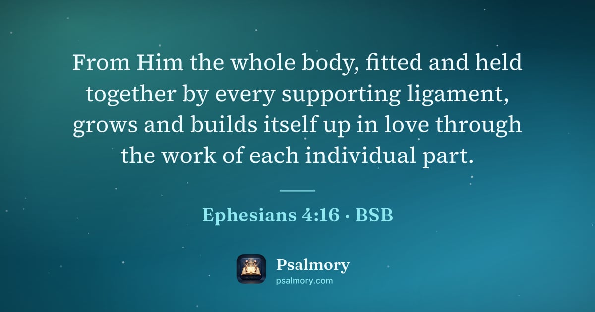 Ephesians 4:16 verse artwork: From Him the whole body, fitted and held together by every supporting ligament, grows…