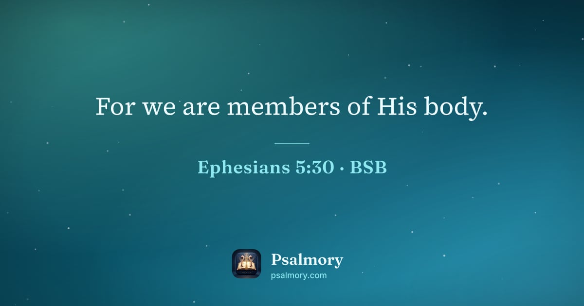 Ephesians 5:30 verse artwork: For we are members of His body.