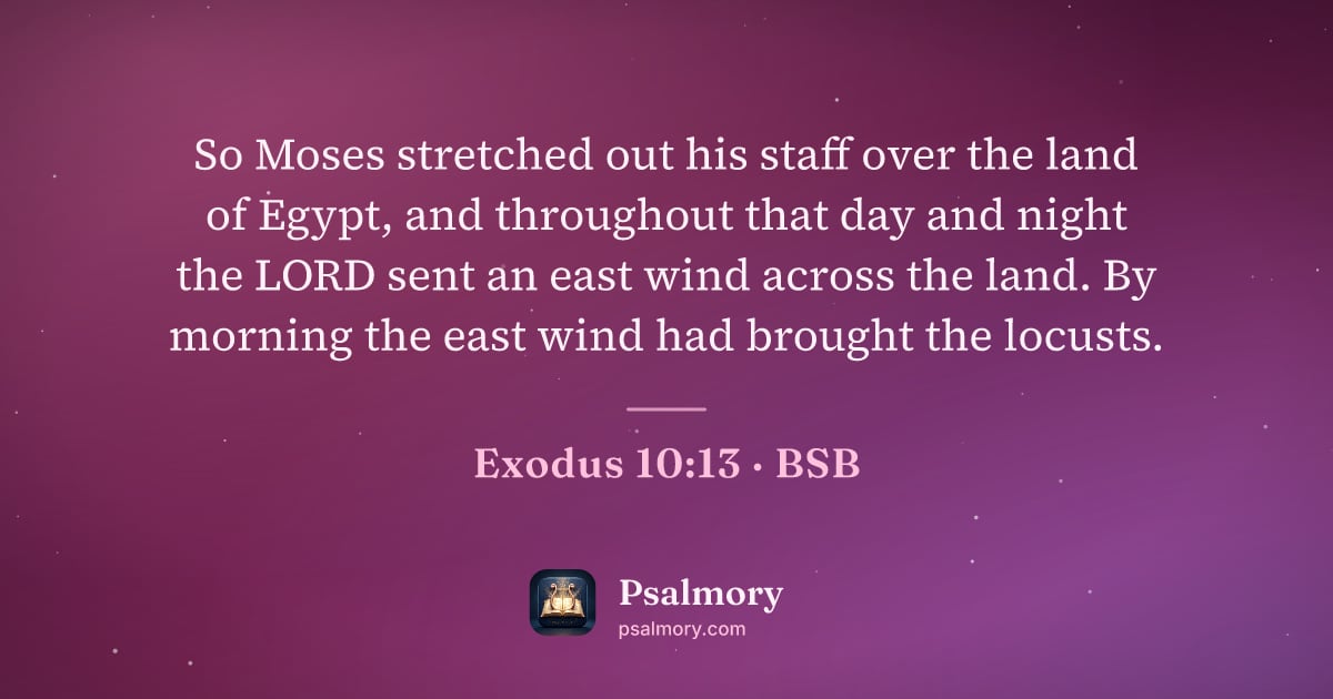 Exodus 10:13 verse artwork: So Moses stretched out his staff over the land of Egypt, and throughout that day and…